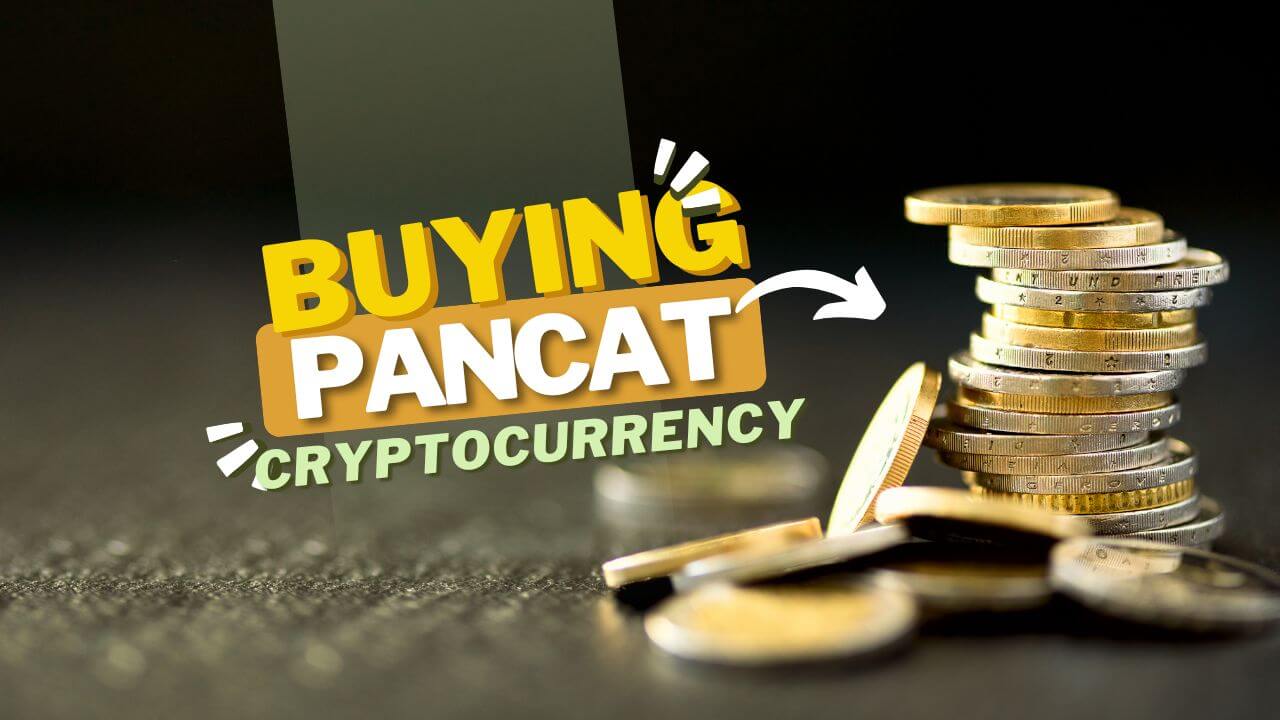 How to Buy Pancat Cryptocurrency